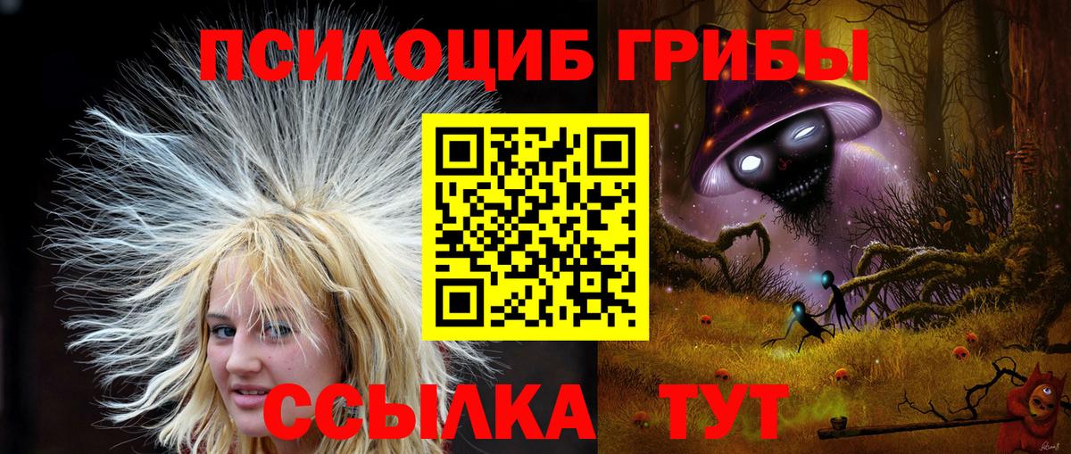 Псилоцибиновые грибы Psilocybe Белгород